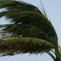 Is hurricane insurance the same as wind insurance?